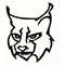 lynx logo